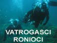 vi�e
